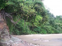 /album/fotogaleria-la-tierrita/bahia-solano-l-jpg/