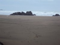 /album/fotogaleria-la-tierrita/a19266-1309245807912-1133583585-30985867-1535183-n-jpg/