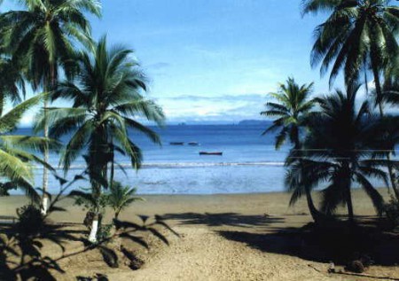 vista de playa de oro