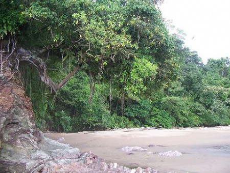 naturaleza viva